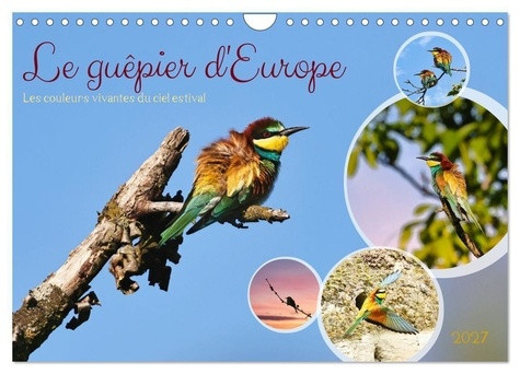 lower-sabine-guepier-d-europe-calendrier-mural-2027-d-les-couleurs-vivantes-du-ciel_0