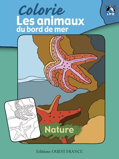 lpo-collectif-colorie-les-animaux-des-bords-de-mer_0