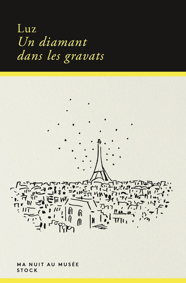 luz-un-diamant-dans-les-gravats_0