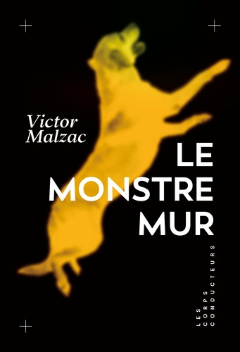 malzac-victor-le-monstre-mur_0