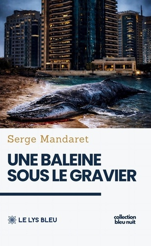 mandaret-serge-une-baleine-sous-le-gravier_0