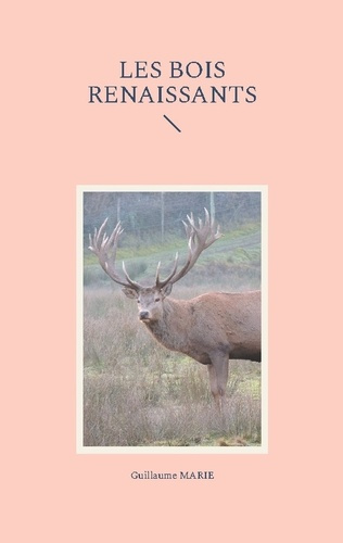marie-guillaume-bois-renaissants_0