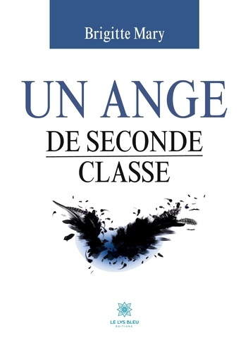 mary-brigitte-un-ange-de-seconde-classe_0