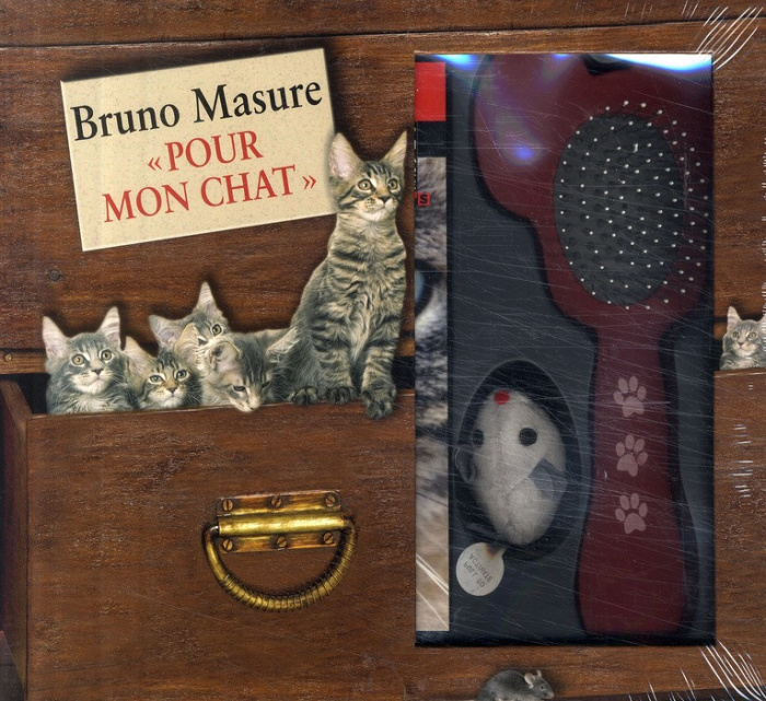 masure-bruno-pour-mon-chat_0