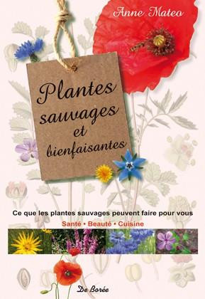 mateo-anne-bras-michel-cuminal-david-rutisha-plantes-sauvages-comestibles-et-bienfaisantes-cuisine-sante-beaute_0