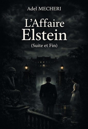 mecheri-adel-l-affaire-elstein-suite-et-fin_0