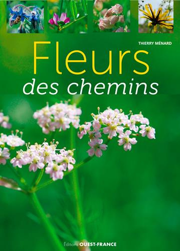 menard-thierry-fleurs-des-chemins-connaitre-et-reconnaitre_0