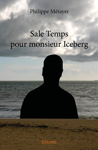 metayer-philippe-sale-temps-pour-monsieur-iceberg_0