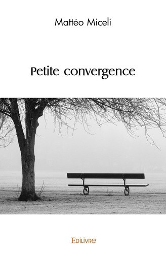miceli-matteo-petite-convergence_0