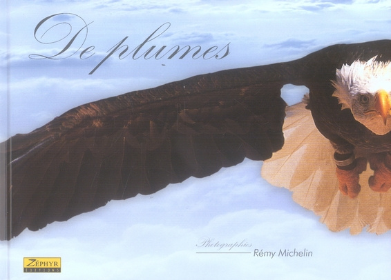 michelin-remy-de-plumes-et-de-fer-tome-2_0