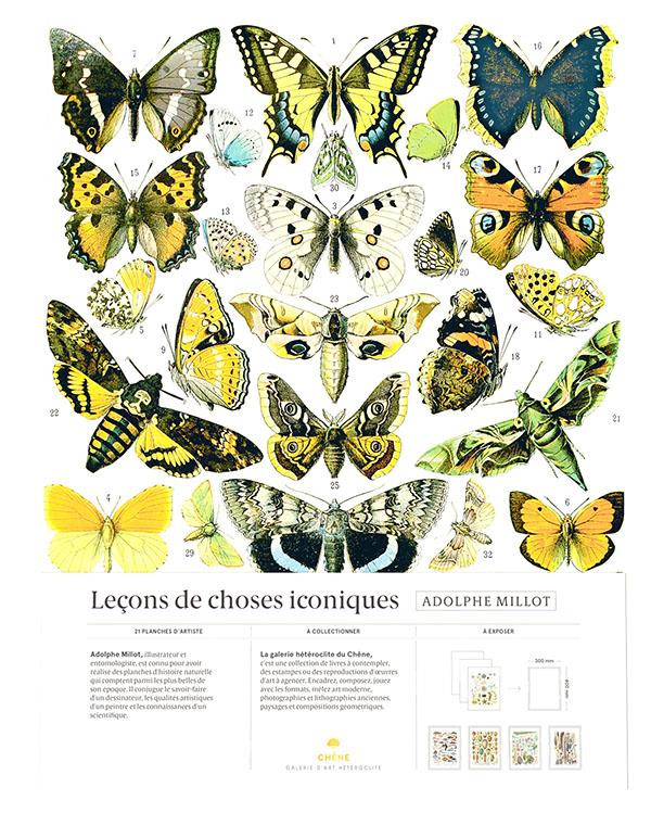 millot-adolphe-lecons-de-choses-iconiques_0