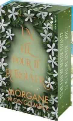 moncomble-morgane-un-ete-pour-te-retrouver-relie-jaspage-seasons-tome-4_0