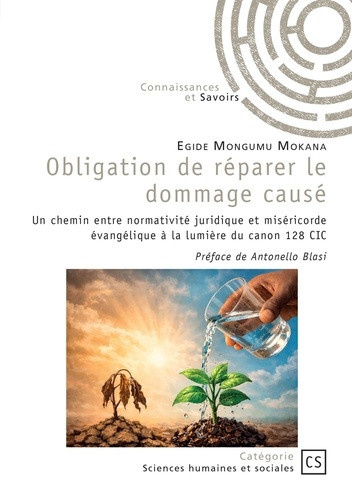 mongumu-mokana-egide-obligation-de-reparer-le-dommage-cause-un-chemin-entre-normativite-juridique-et-misericorde-evangel_0