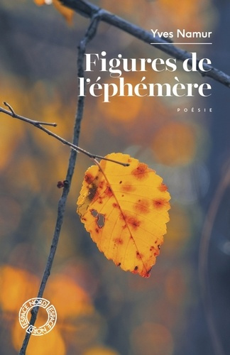 namur-yves-laroche-daniel-figures-de-l-ephemere_0