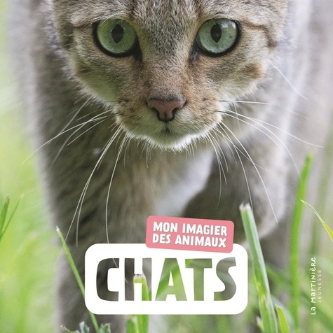 naturagency-chats-mon-imagier-des-animaux_0