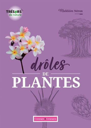neron-madeleine-droles-de-plantes_0