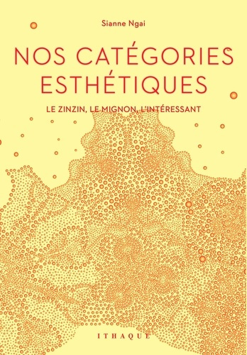 ngai-sianne-3b-david-jerome-nos-categories-esthetiques-le-zinzin-le-mignon-l-interessant_0