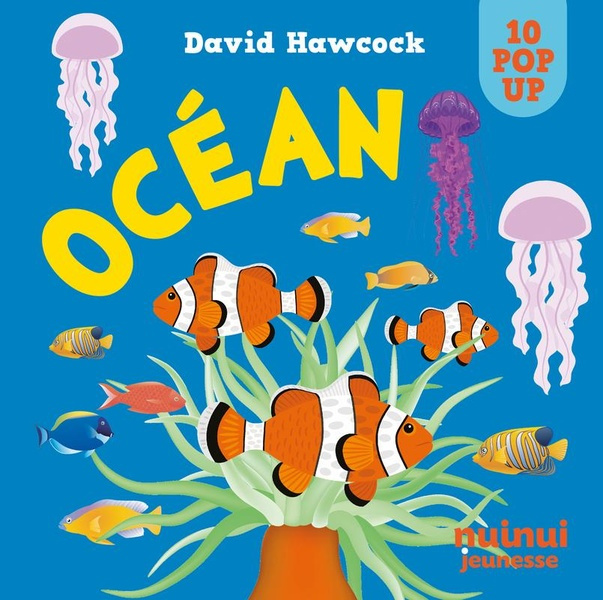 ocean-saisissants-pop-up_0