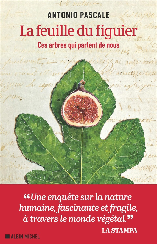 pascale-antonio-la-feuille-du-figuier-ces-arbres-qui-parlent-de-nous_0