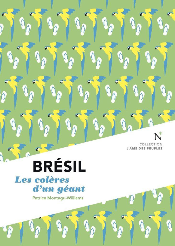 patrice-montagu-will-bresil-les-coleres-d-un-geant_0
