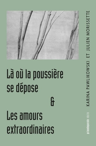 pawlikowski-karina-morissette-julien-la-ou-la-poussiere-se-depose-suivi-de-les-amours-extraordinaires_0