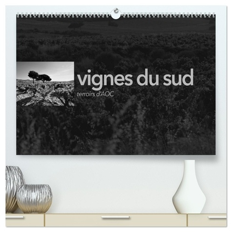 perrin-emmanuel-vignes-du-sud-terroirs-d-aoc-calendrier-paysages-des-terroirs-viticole_0