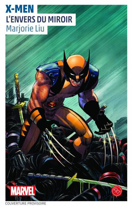 petrucha-stefan-3b-perdereau-cedric-captain-america-sombres-desseins_0