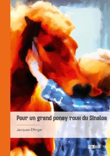 pour-un-grand-poney-roux-du-sinaloa_0