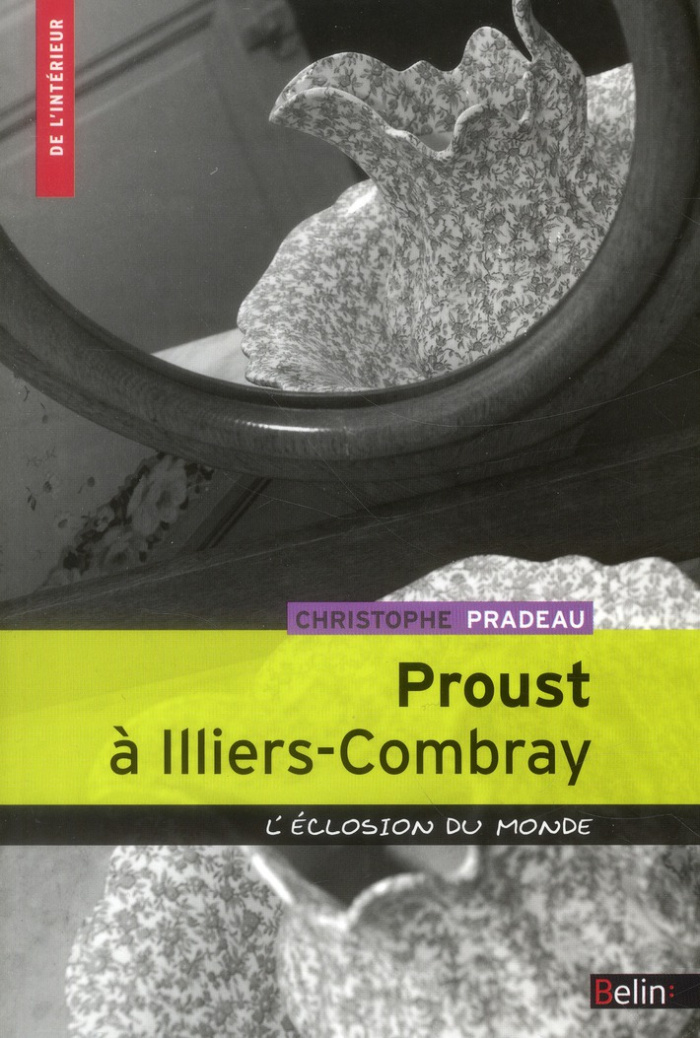 pradeau-christophe-3b-leguetteur-frederic-proust-a-illiers-combray-l-eclosion-du-monde_0