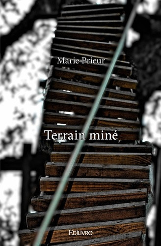 prieur-marie-terrain-mine_0