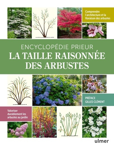 prieur-pascal-encyclopedie-de-la-taille-raisonnee_0