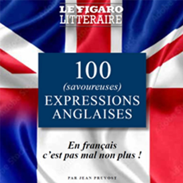 pruvost-jean-100-expressions-anglaises-en-francais-c-est-pas-mal-non-plus_0