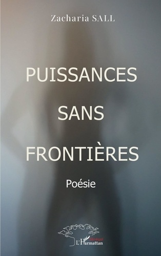 puissances-sans-frontieres_0