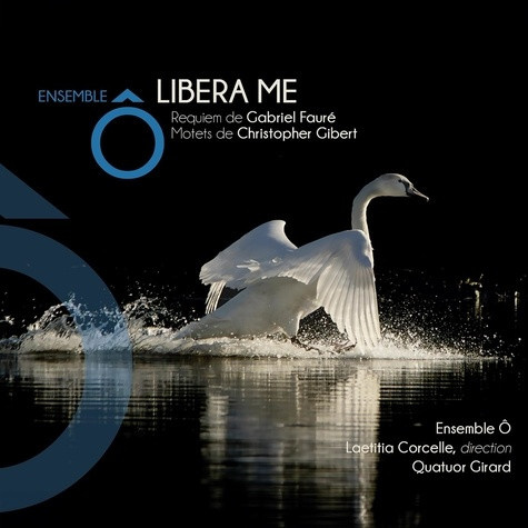 quatuor-girard-libera-me-requiem-de-faure-oeuvres-de-gibert-et-lekeu_0