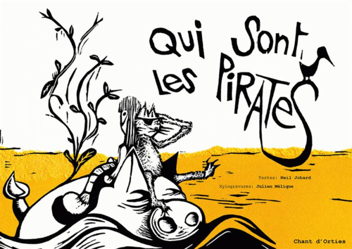 qui-sont-les-pirates_0