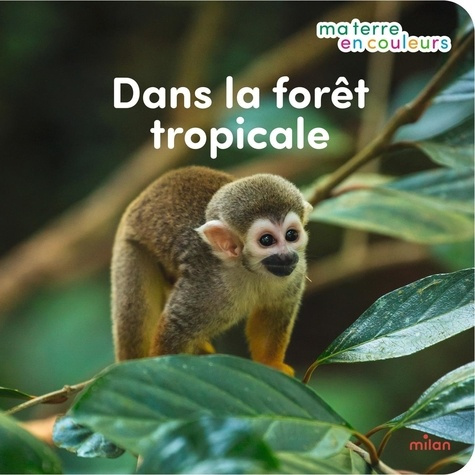 redoules-stephanie-dans-la-foret-tropicale_0