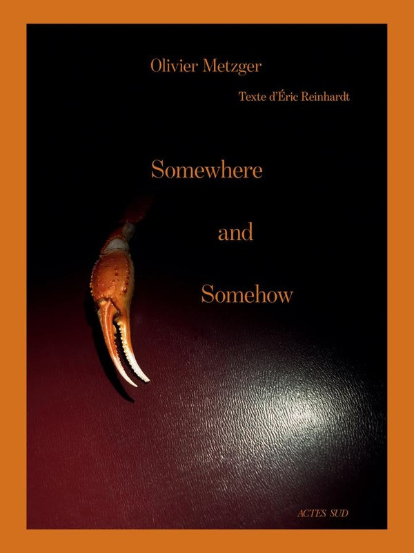 reinhardt-eric-metzger-olivier-somewhere-and-somehow_0