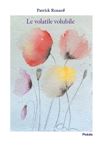 renard-patrick-volatile-volubile_0