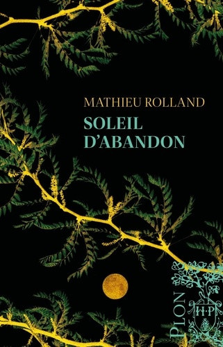 rolland-mathieu-soleil-d-abandon_0