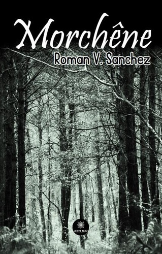 roman-v-sanchez-morchene_0