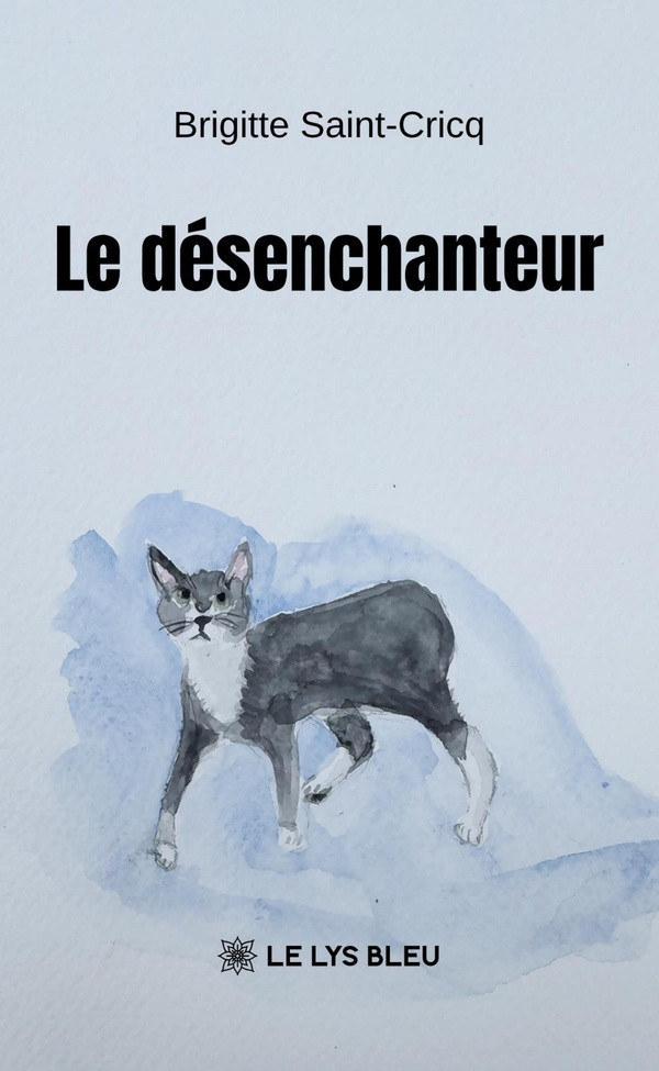 saint-cricq-brigitte-le-desenchanteur_0