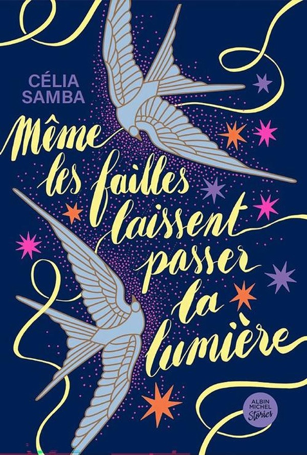 samba-celia-meme-les-failles-laissent-passer-la-lumiere_0