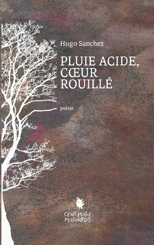 sanchez-hugo-pluie-acide-coeur-rouille_0