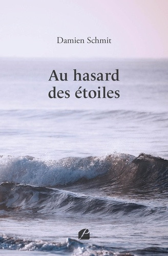 schmit-damien-au-hasard-des-etoiles_0