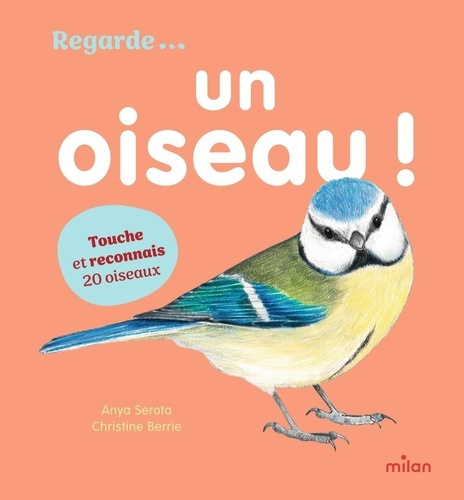 serota-anya-berrie-christine-un-oiseau-un-imagier-colore-en-relief-pour-apprendre-a-reconnaitre-les-oiseaux-et-decouvrir-leu_0