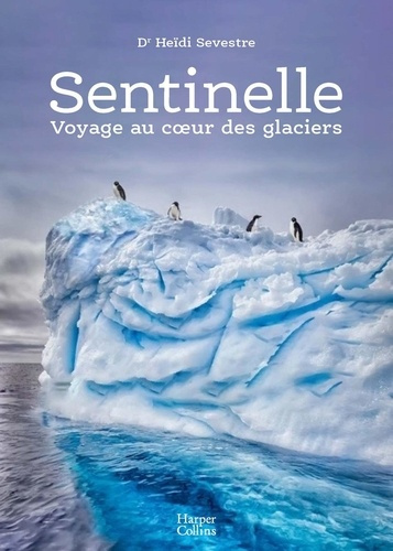sevestre-heidi-sentinelle-voyage-au-coeur-des-glaciers_0