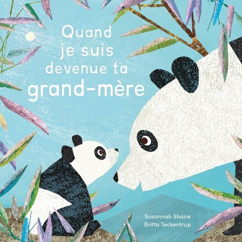 shane-teckentrup-quand-je-suis-devenue-ta-grand-mere_0