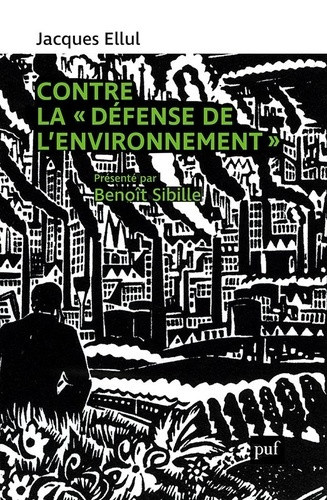 sibille-benoit-plaidoyer-contre-la-defense-de-l-environnement_0