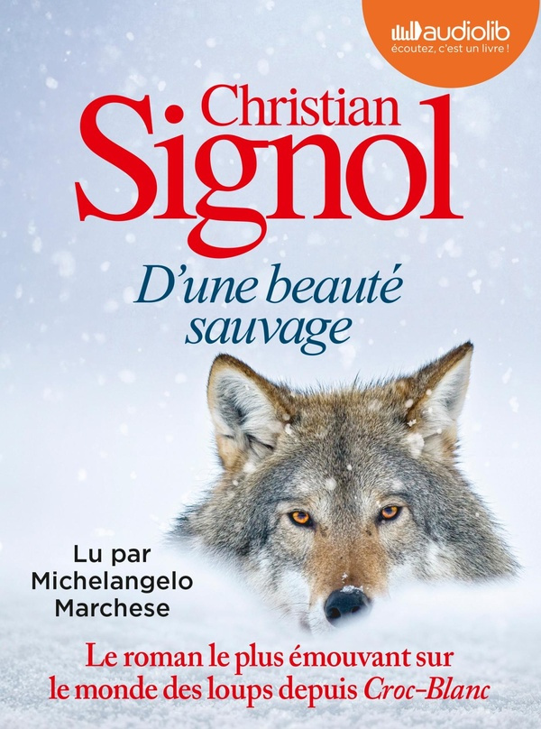 signol-christian-marchese-michelangelo-d-une-beaute-sauvage-livre-audio-1-cd-mp3_0