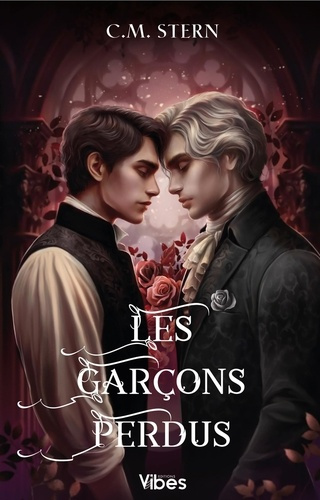 stern-c-m-les-garcons-perdus-t2_0